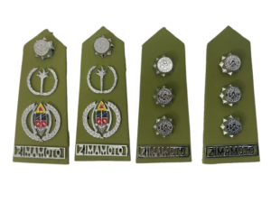 image1-e1741200441424-removebg-preview