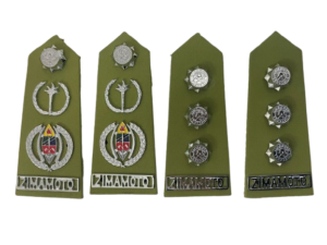 image1-removebg-preview